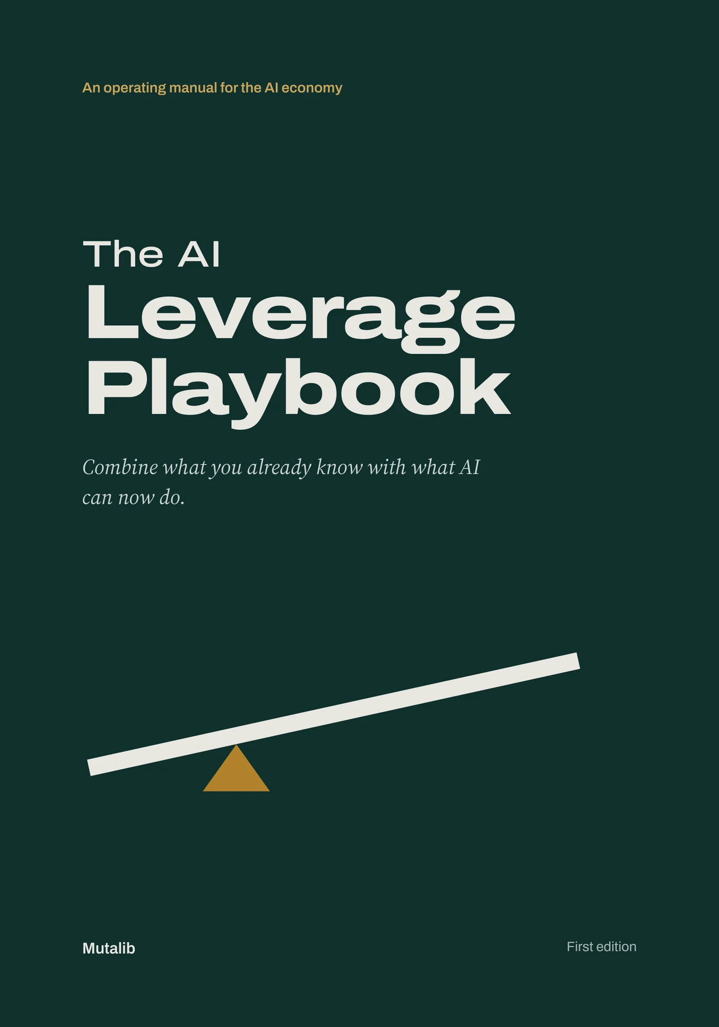 The AI Leverage Playbook cover